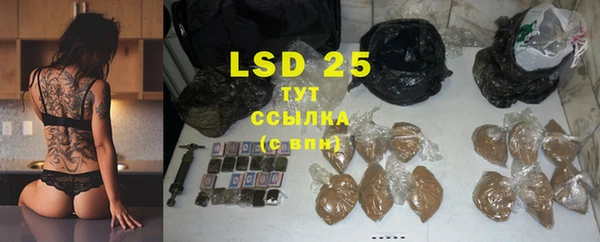 PSILOCYBIN Балабаново