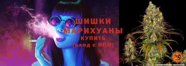 PSILOCYBIN Балабаново
