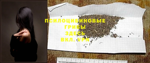 PSILOCYBIN Балабаново