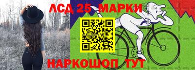 гашик Кандалакша