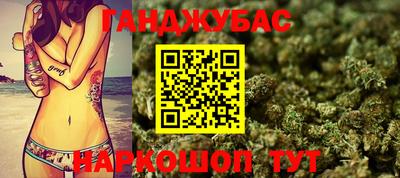 гашик Кандалакша