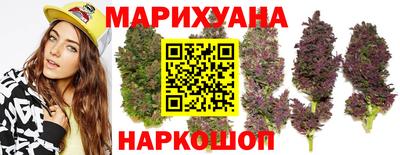 гашик Кандалакша