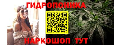 гашик Наро-Фоминск