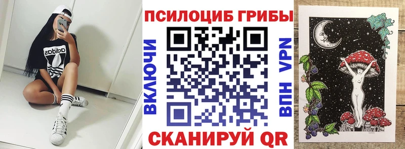 Псилоцибиновые грибы прущие грибы  Черняховск 
