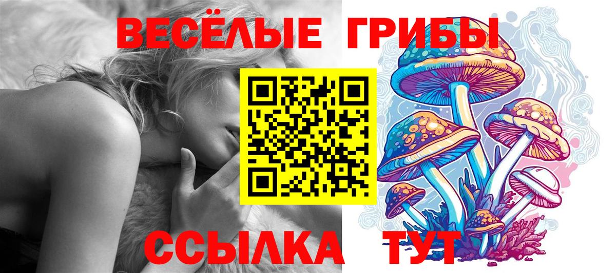 Черняховск  Галлюциногенные грибы мицелий  Вход с VPN 